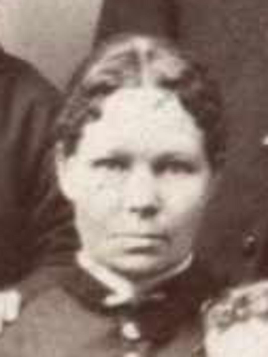 Ellen Cantwell (1848 - 1930) Profile